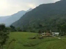 Dzongo